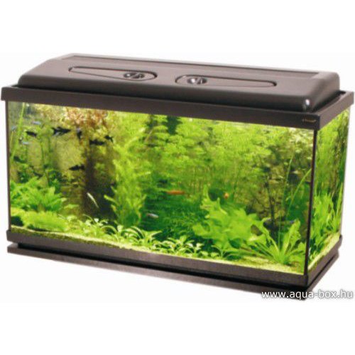 112 literes Aqua-box akvárium szett LED